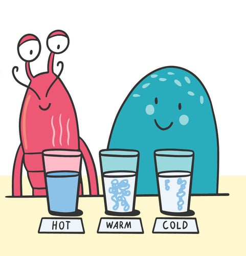 Squidge and Snap do a water experiment
