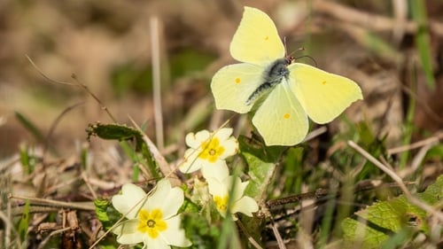 How water usage impacts nature