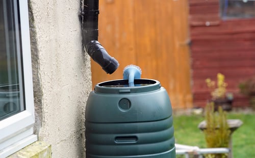 Extreme weather warning: 20% more water pumped leads to appeal to stop watering lawns