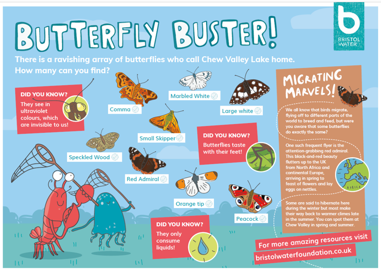 Butterfly worksheet