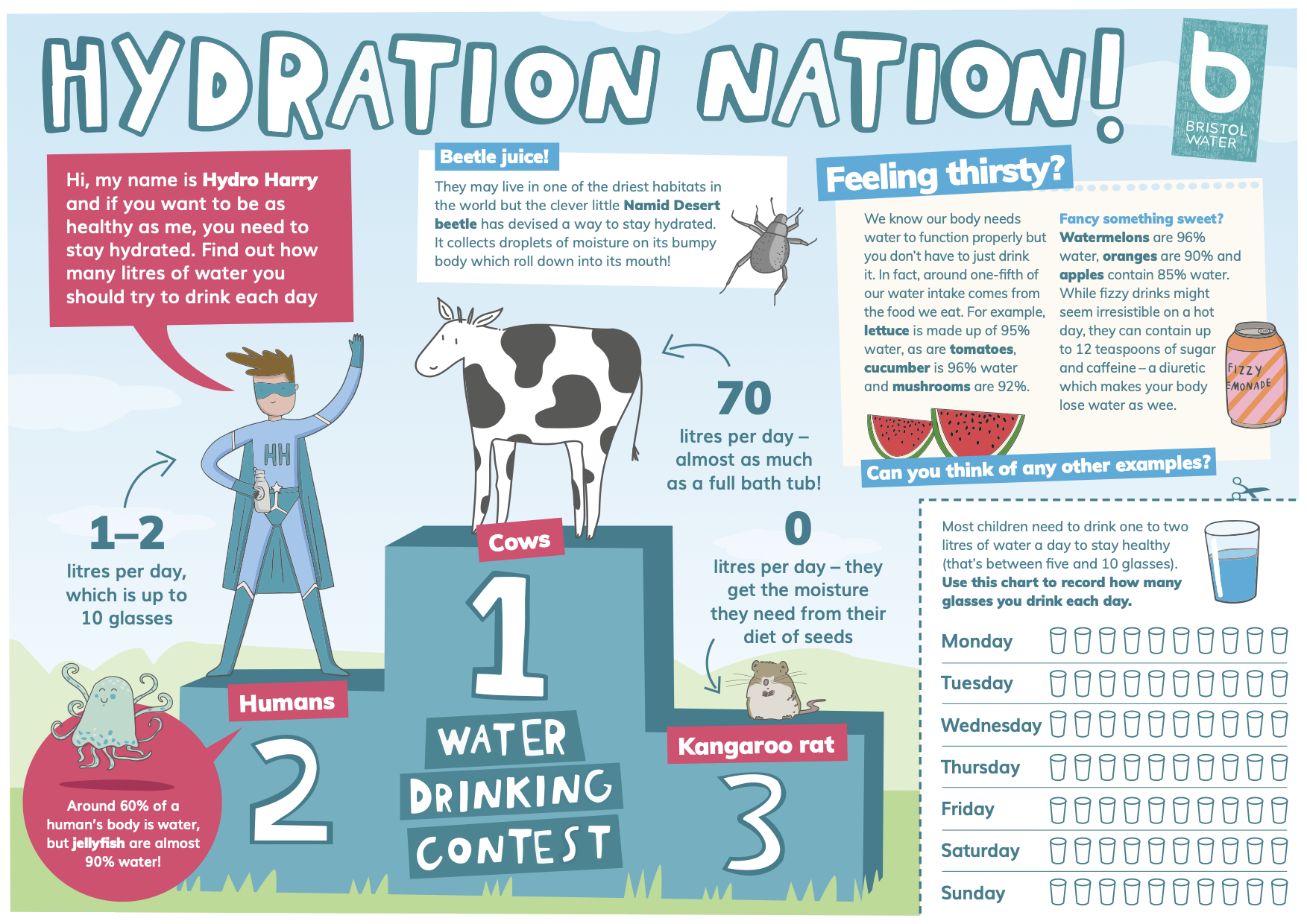 Natures Super Drink Hydration Worksheet