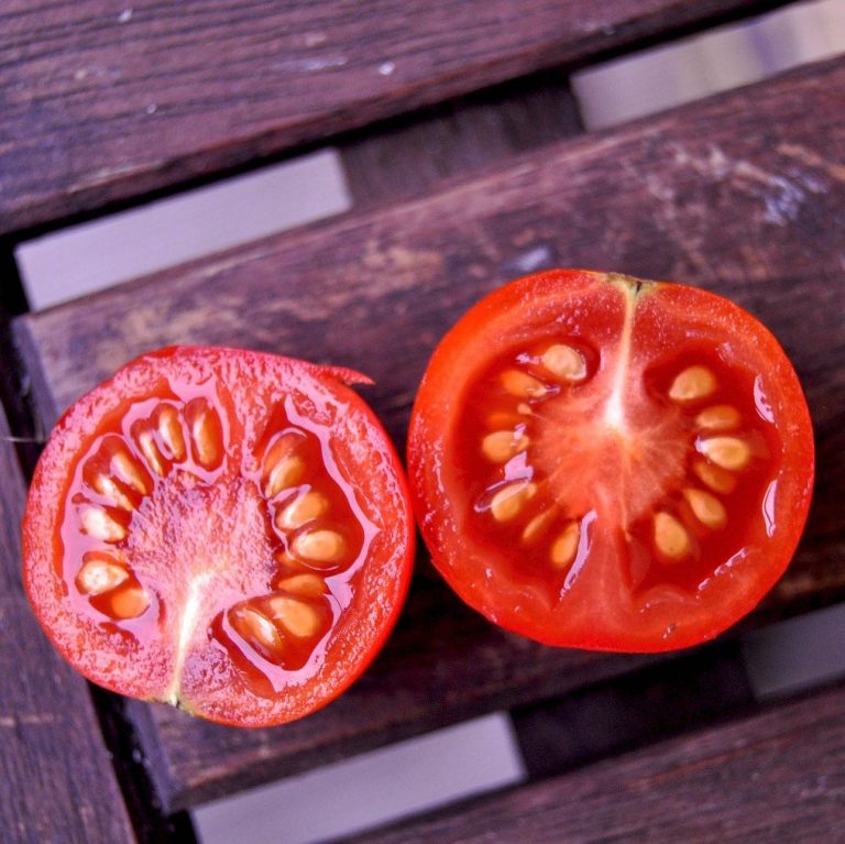 Grow your own free tomatoes
